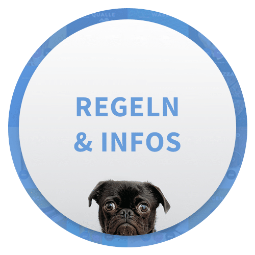 regeln_infos